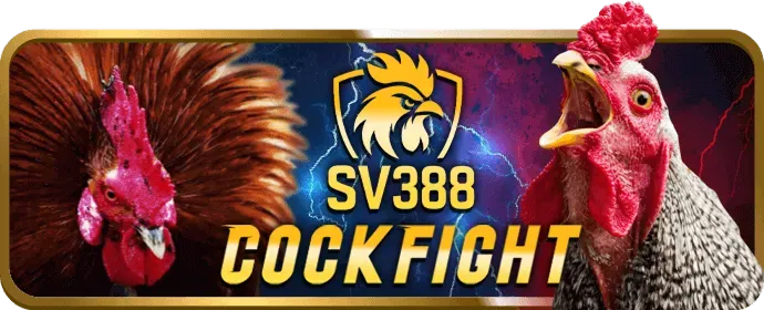 Chương trình VIP HY88